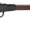 Henry H001TRP Small Game Rifle 22 S/L/LR Lever .22 LR 20" 16+1