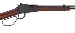 Henry H001TRP Small Game Rifle 22 S/L/LR Lever .22 LR 20" 16+1