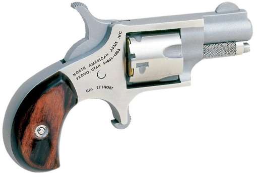 North American Arms (NAA) NAA-.22 Short Short 5RD .22 Short 1