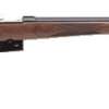 CZ-USA CZ527 Varmint 17 REM