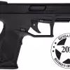 Hard Anodized Black 22 LR Black Polymer Frame 10-Round Non Manual Safety